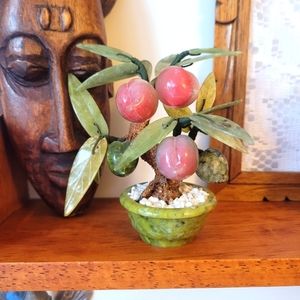 Small Chinese stone peach tree